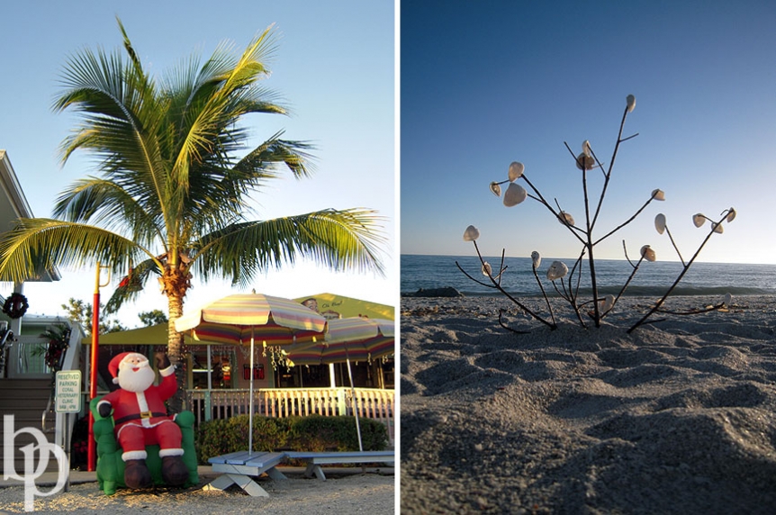 Naples_Florida-4 © Brian Phillips Photography